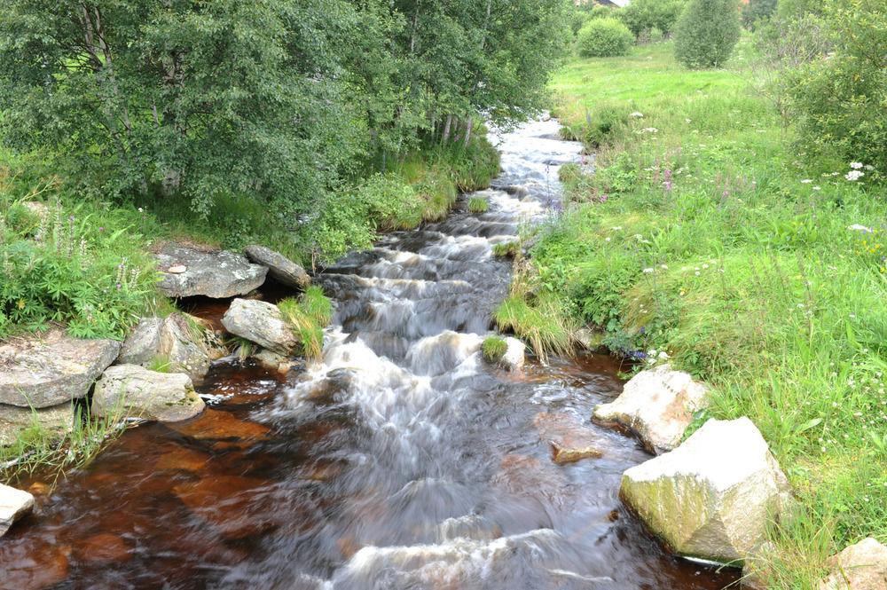 Sumava Inn Kvilda Eksteriør billede